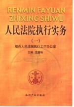 人民法院执行实务