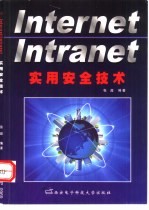 Internet/Intranet实用安全技术