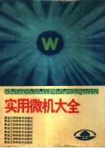 实用微机大全