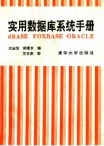 实用数据库系统手册