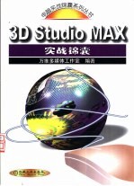3D Studio MAX实战锦囊