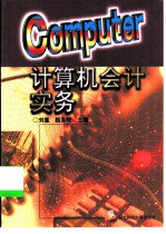 计算机会计实务