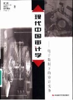 现代中国审计学 电子数据下的审计实务