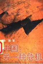 中国:另一种危机