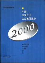 中国大型工业企业发展报告 2000年 世纪之交的中国大型工业企业