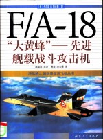 F/A-18“大黄蜂” 先进舰载战斗攻击机