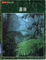 森林