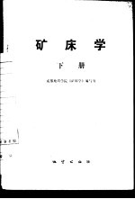 矿床学 下