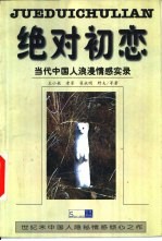 绝对初恋 当代中国人浪漫情感实录