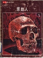 原始人
