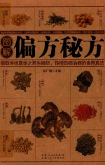 图解偏方秘方
