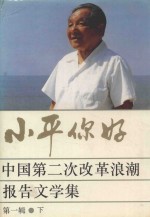 小平你好 中国第二次改革浪潮报告文学集 第1辑 下