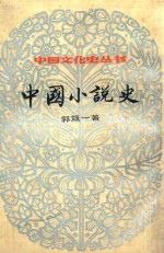 中国小说史 下