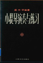小提琴演奏与练习