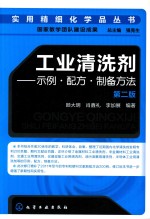 实用精细化学品丛书 工业清洗剂 示例·配方·制备方法 第2版