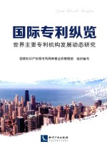 国际专利纵览