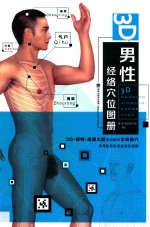 3D男性经络穴位图册