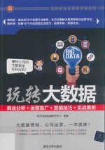 玩转大数据 商业分析+运营推广+营销技巧+实战案例