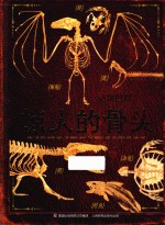 动物世界 惊人的骨头
