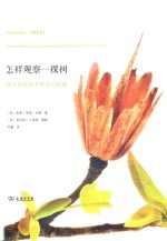 怎样观察一棵树 探寻常见树木的非凡秘密