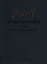东山村 新石器时代遗址发掘报告 下