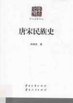 云南文库 学术名家文丛 唐宋民族史