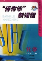 “伴你学”新课程 人教版 化学 九年级 上