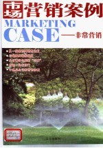 市场营销案例 非常营销