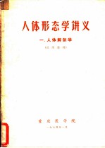 人体形态学讲义 一、人体解剖学