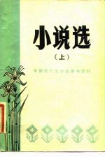 小说选 下