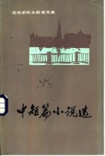 陀思妥耶夫斯基选集 中短篇小说选 下