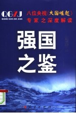 强国之鉴:八位央视《大国崛起》专家之深度解读