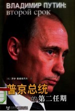 普京总统的第二任期