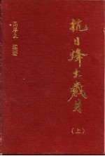 抗日烽火岁月 下