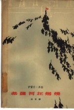 蒂萨河在燃烧 下