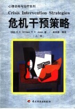 危机干预策略 下