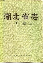 湖北省志 工业 下