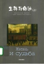 生存与命运 下