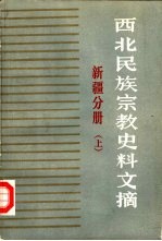 西北民族宗教史料文摘 新疆分册 下