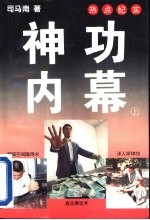 神功内幕 下