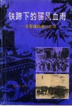 海南文史资料 第11辑 铁蹄下的腥风血雨:日军侵琼暴行实录 下