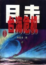 目击台海危机 下 图文版