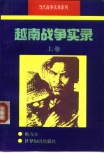 越南战争实录 下