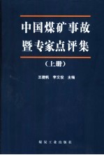 中国煤矿事故暨专家点评集 下