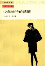 少年维特的烦恼