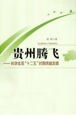 贵州腾飞 科学实现“十二五”时期跨越发展
