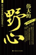 伟大的野心 新兴商业英雄们的创业风云