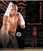 无敌泰拳格斗术 打遍天下五百年无敌手