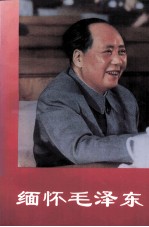 缅怀毛泽东 下