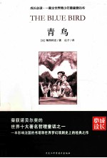 成长必读 青鸟